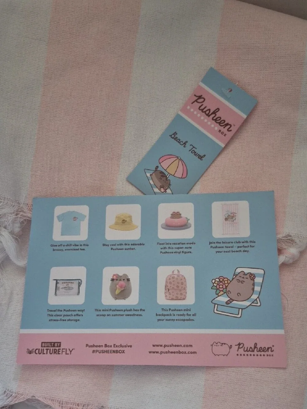 Pusheen 2026 summer